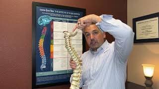 Your Nervous System Controls Everything