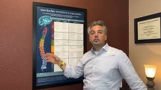 The Importance of the Spine